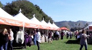 Wine and Food Festivals