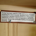 Honey Knowledge